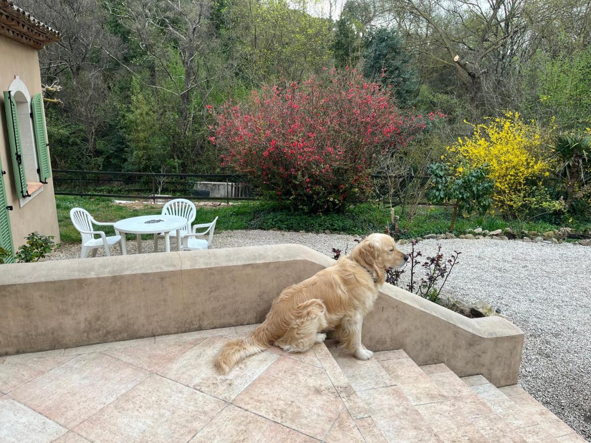 Bastide Du Maoupas Gites Belgentier Buitenkant foto