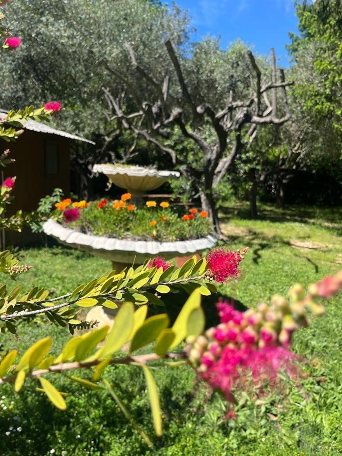 Bastide Du Maoupas Gites Belgentier Buitenkant foto