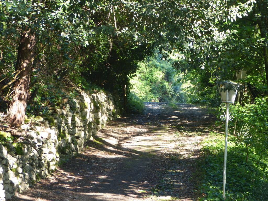 Bastide Du Maoupas Gites Belgentier Buitenkant foto